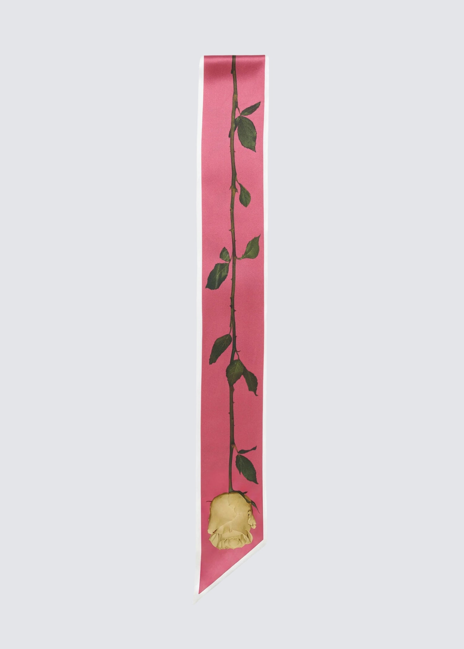 Old Pink Twilly, Tuch