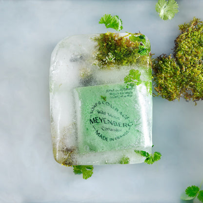 Soap & Courage, Wild Moss/Coriander, 500 ml