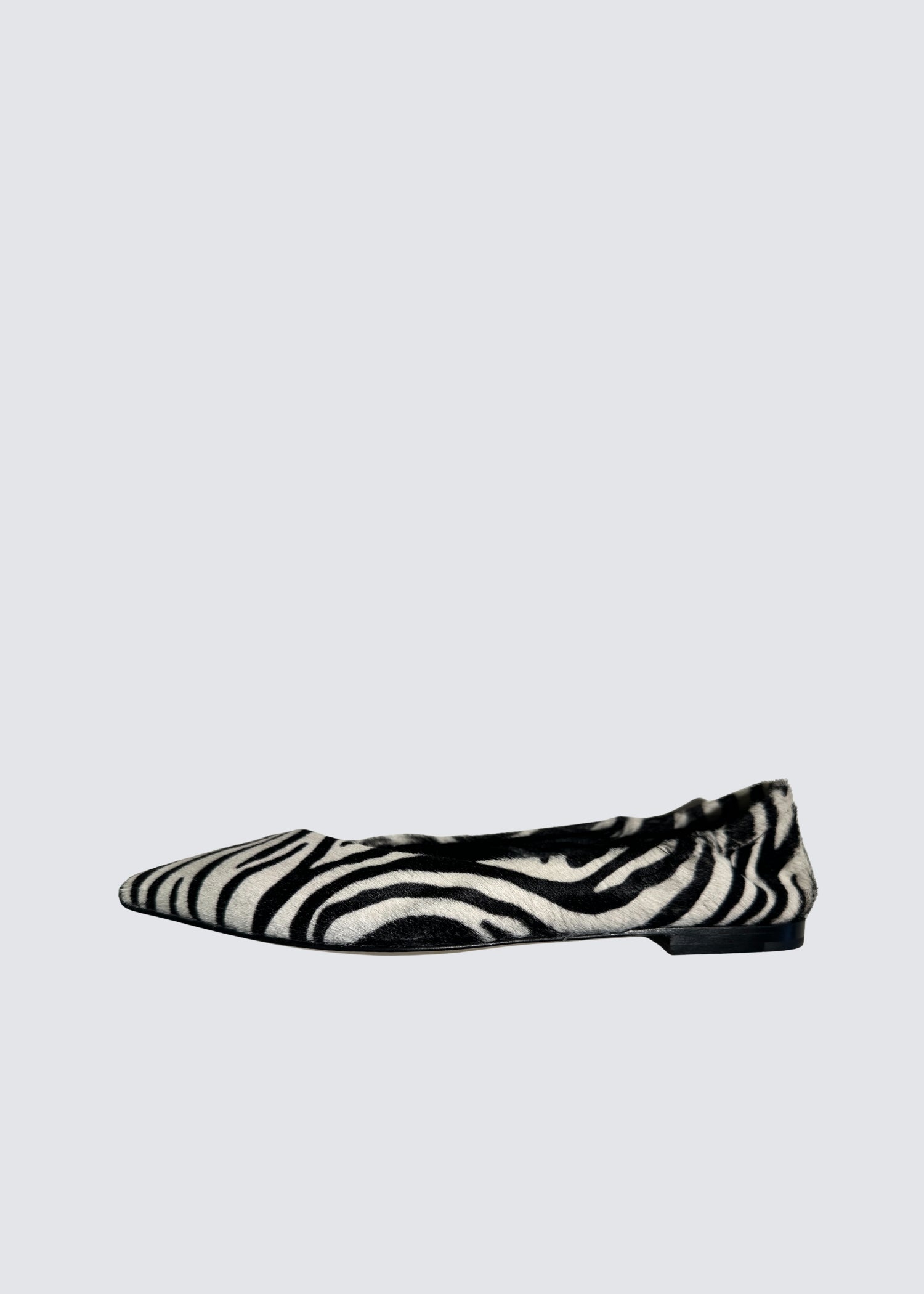 Ingrid, Zebra, Ballerina
