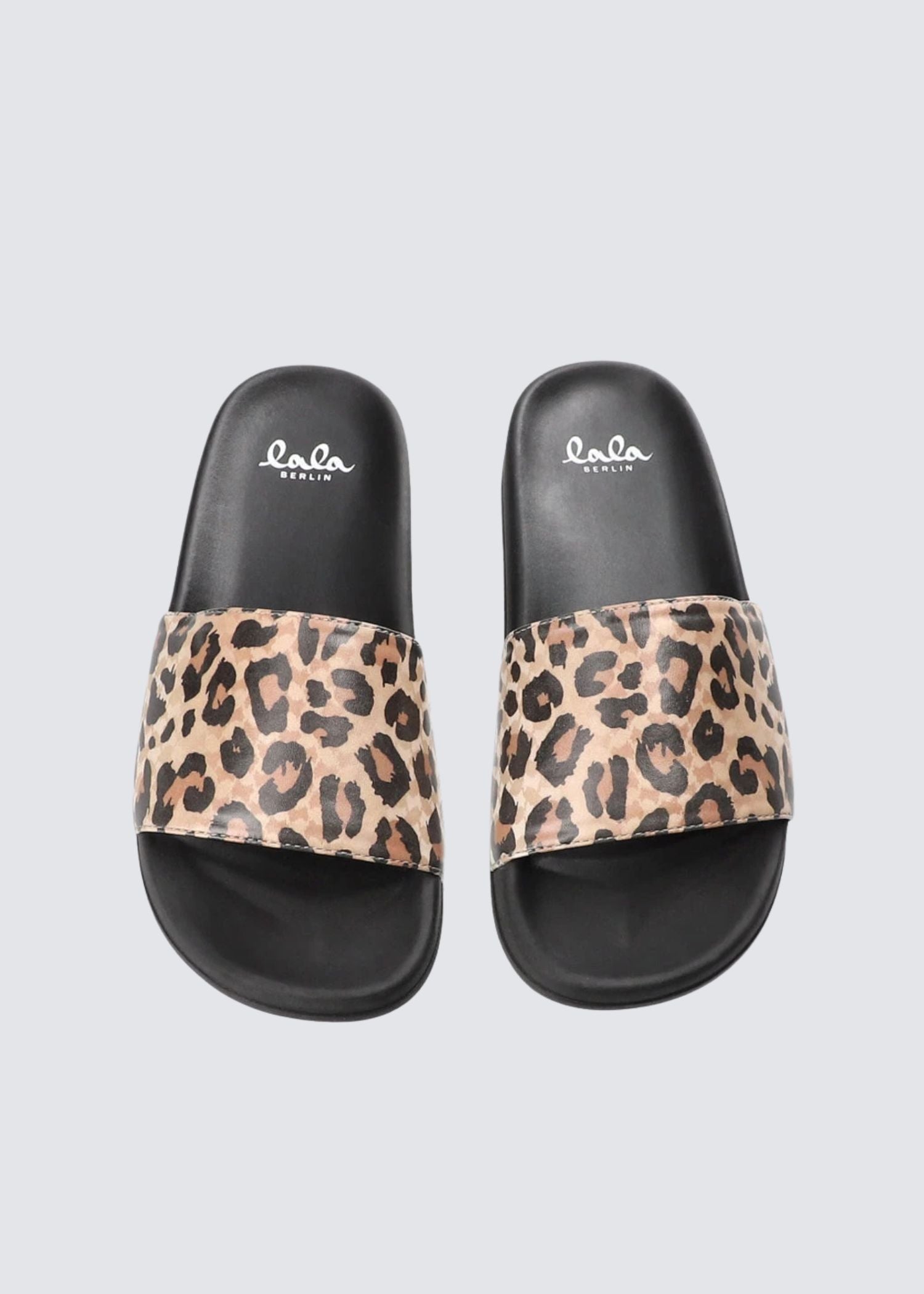 Bilbao, Leo, Beach Slides