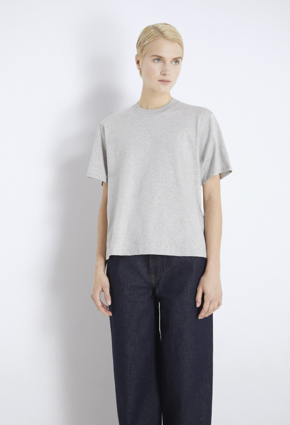 Telanto, Grey, T-Shirt