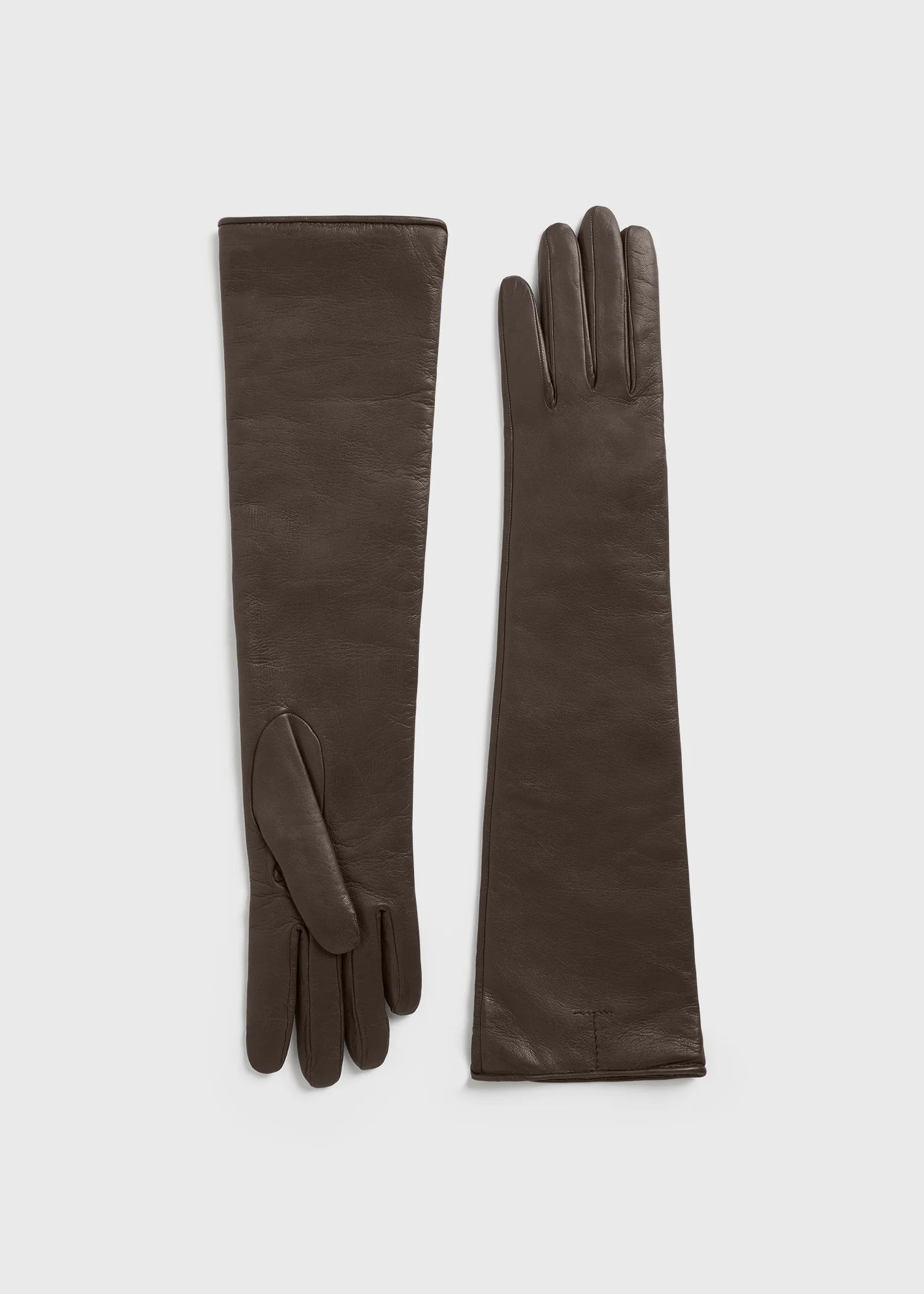 Long Leather Gloves, Brown, Gloves