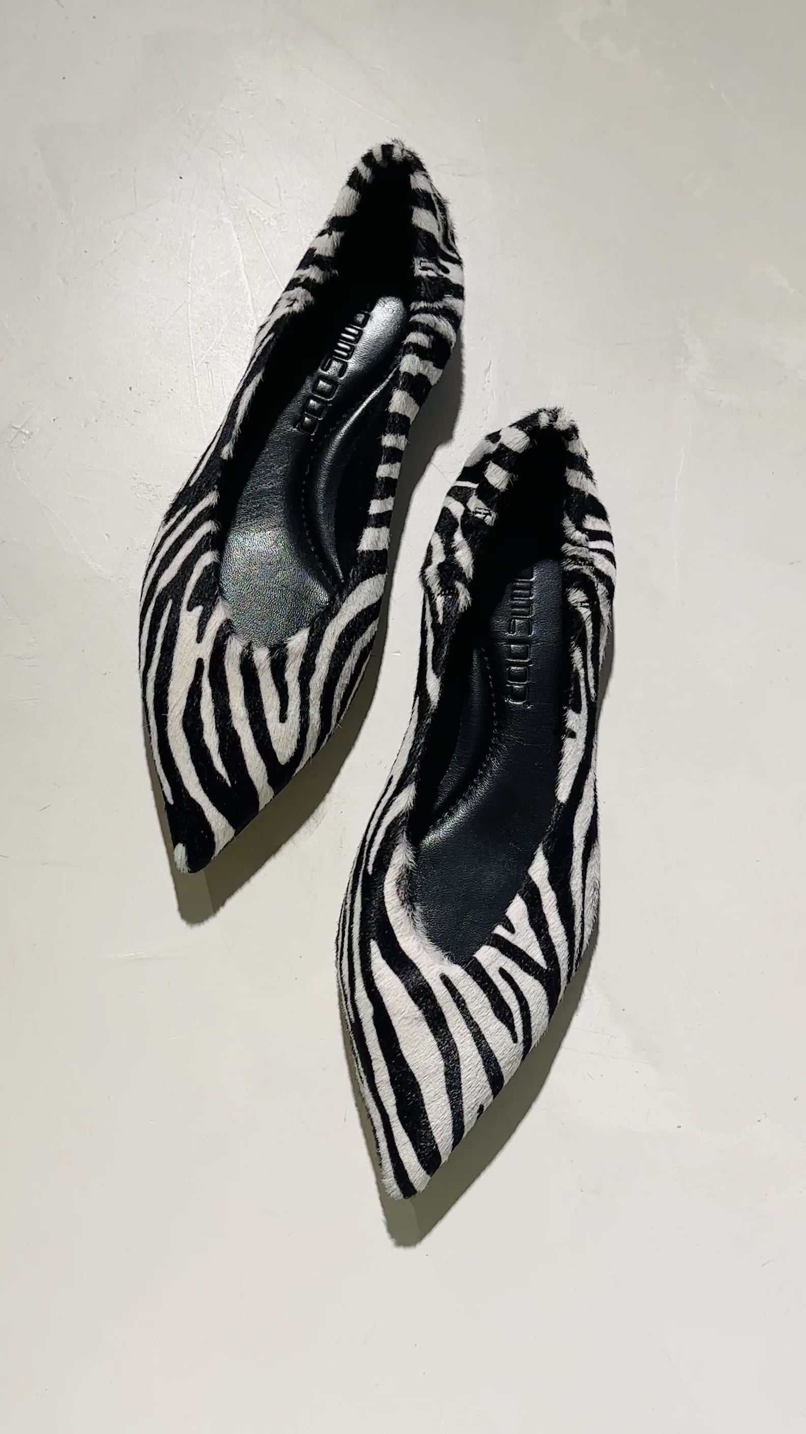 Pomme_d'Or_Ingrid_Zebra_Video