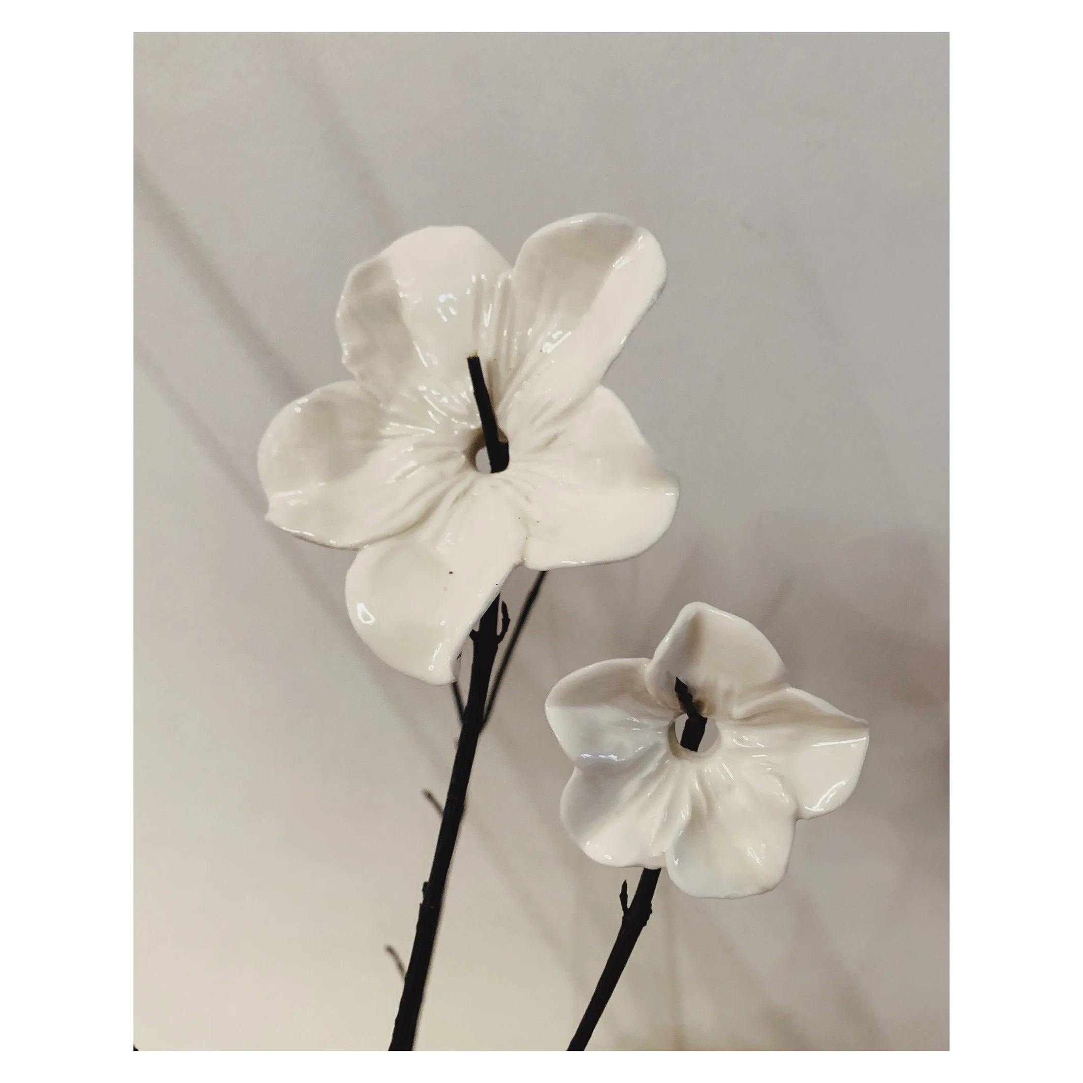 The Big Eternal Blossom, 5er Set - Lindner Fashion