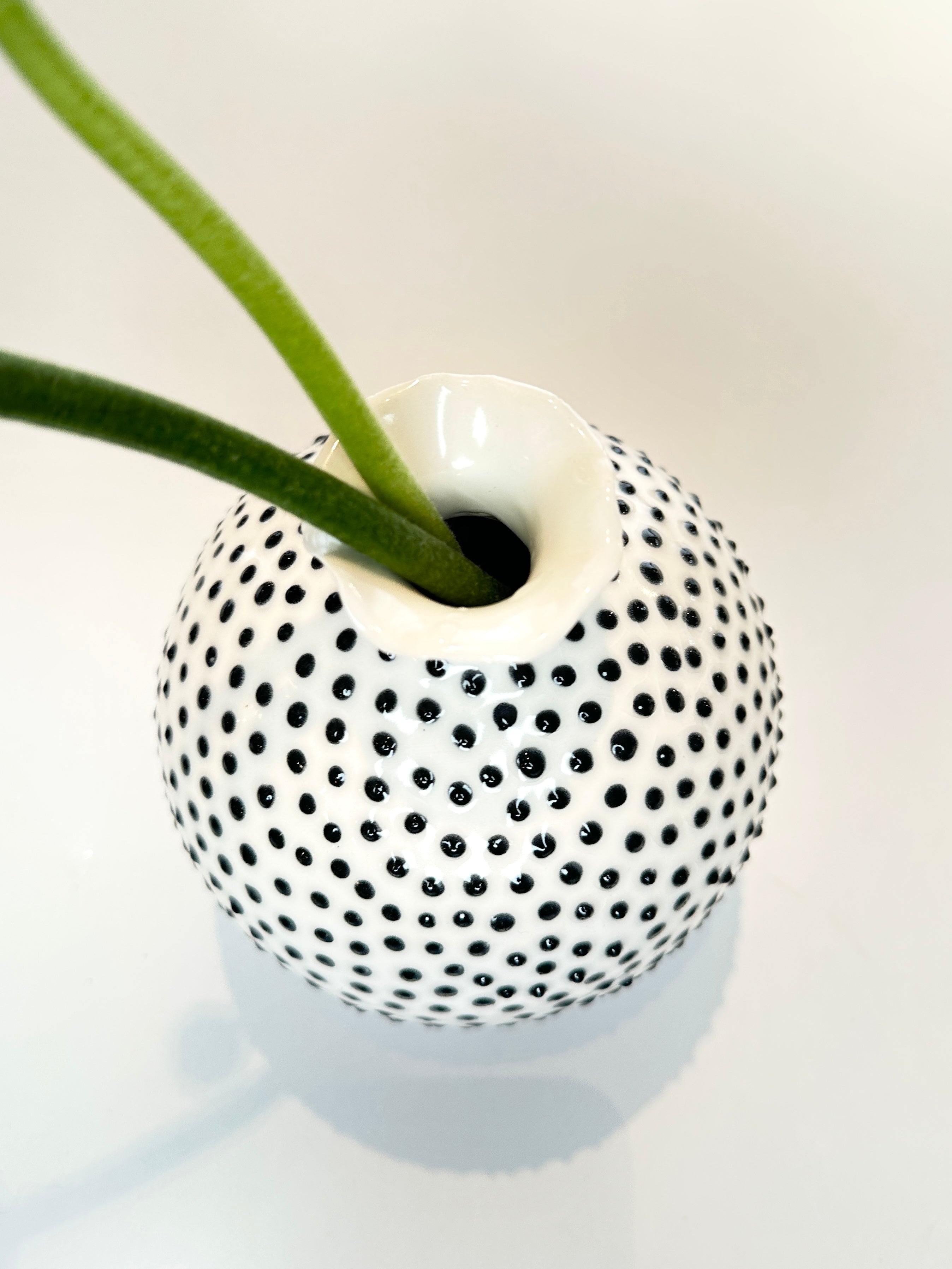 The Medium Puffer, Schwarz, Vase - Lindner Fashion