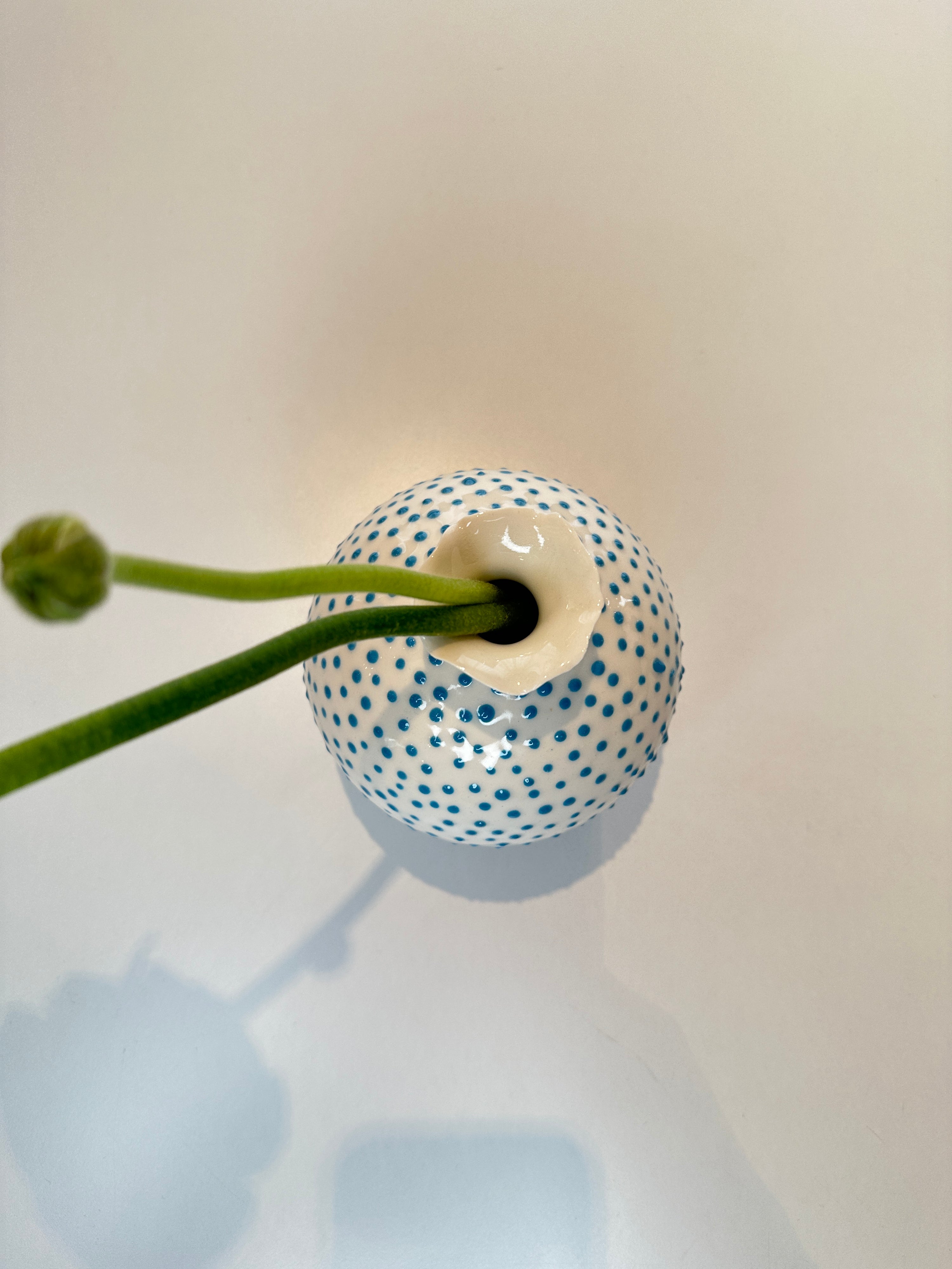 The Medium Puffer, Türkis, Vase - Lindner Fashion