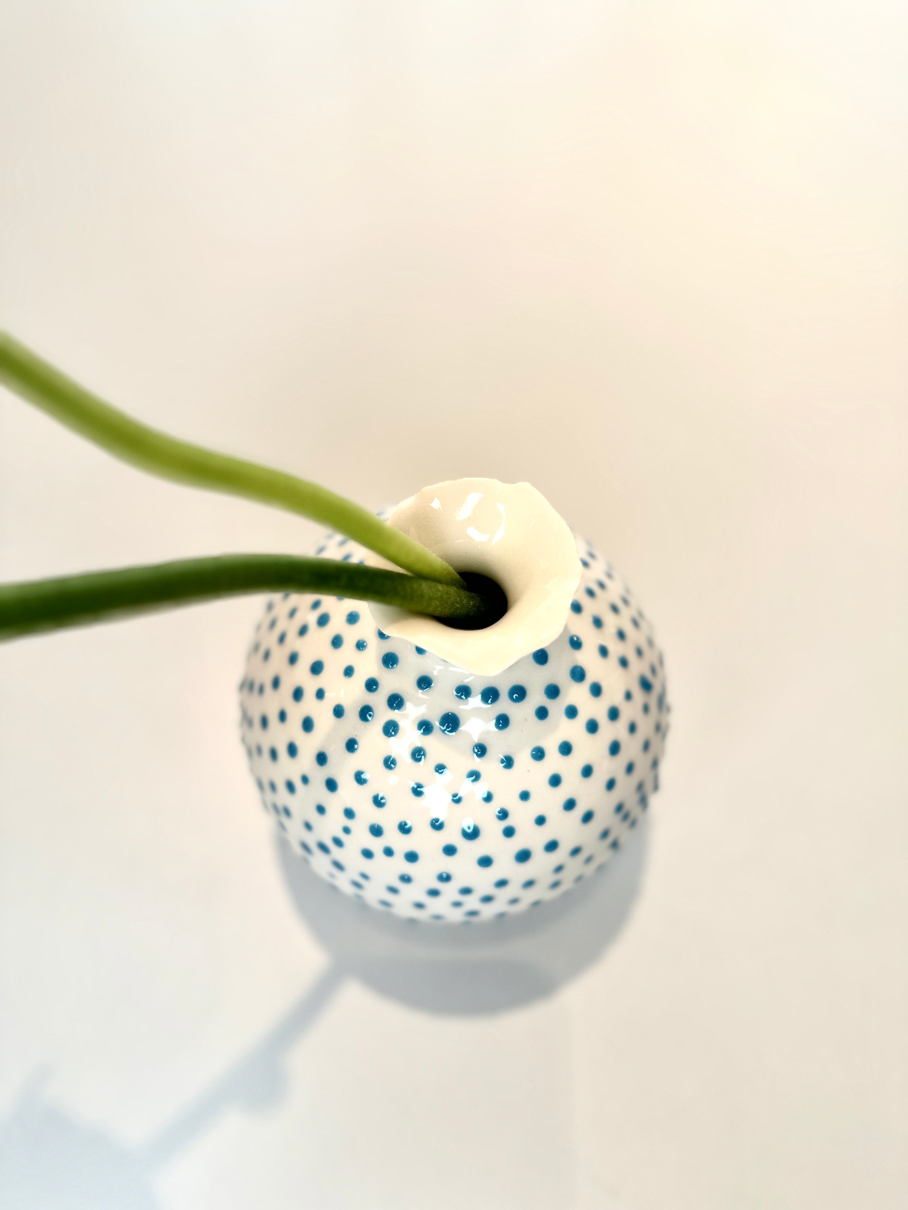 The Medium Puffer, Türkis, Vase - Lindner Fashion